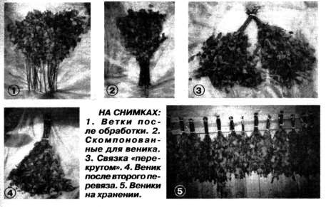 бани